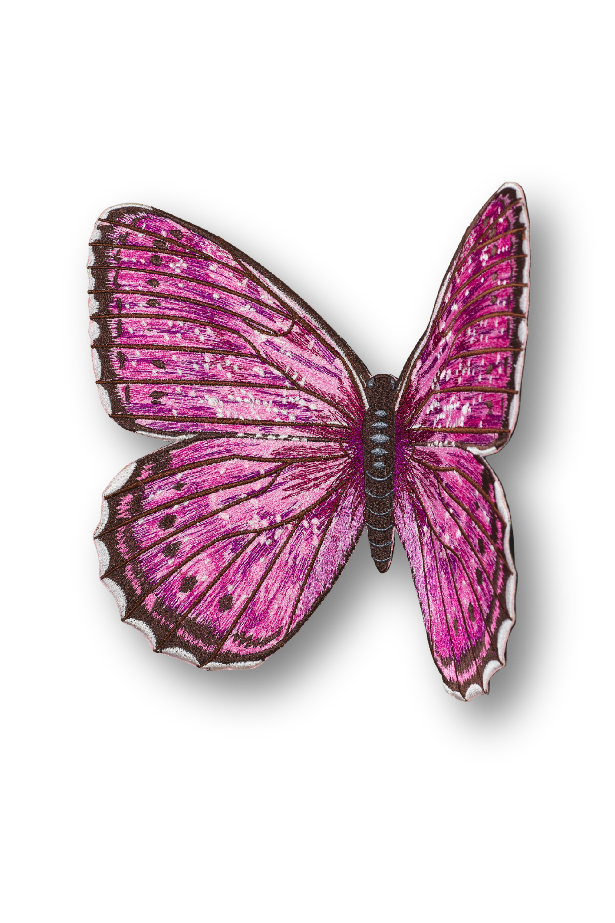 Violet Tip Brushveld Butterfly Patch