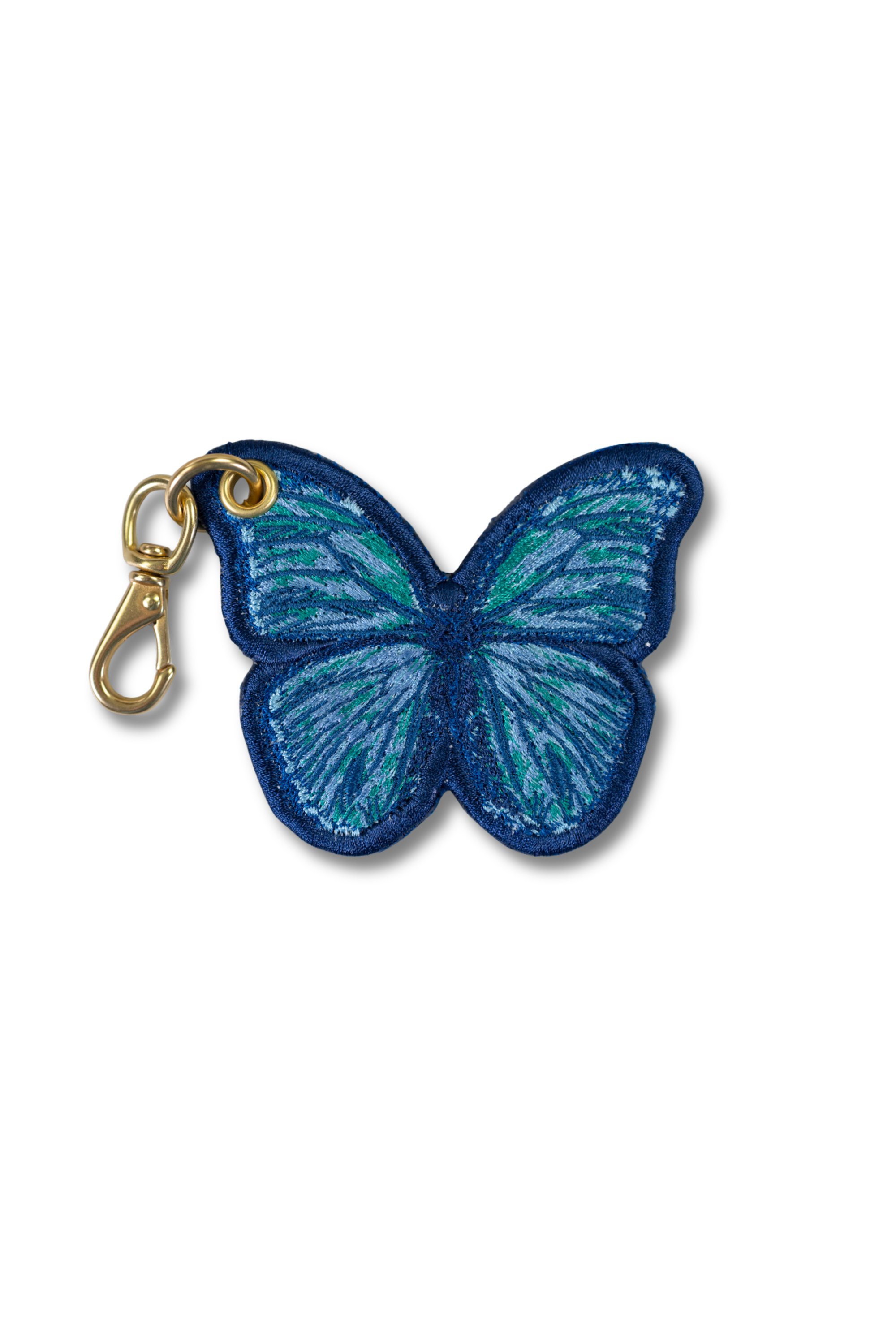 Blue Morpho Butterfly
