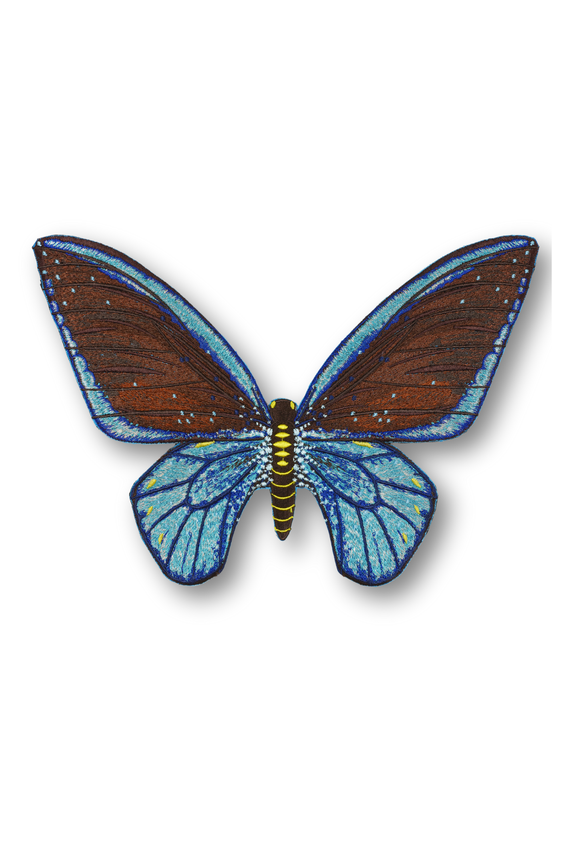 Cairns Birdwing Butterfly Patch