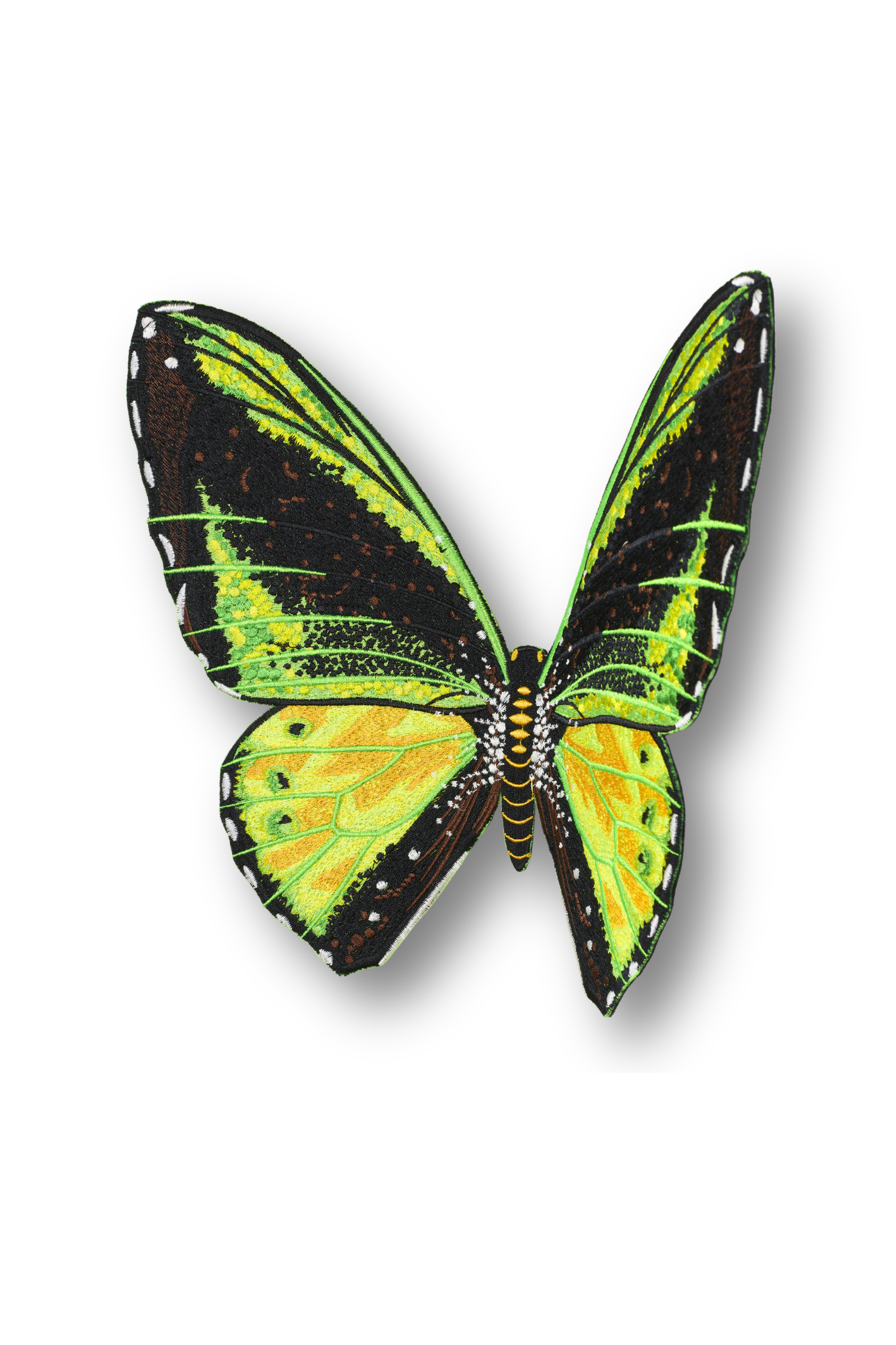 Green Birdwing Butterfly Patch