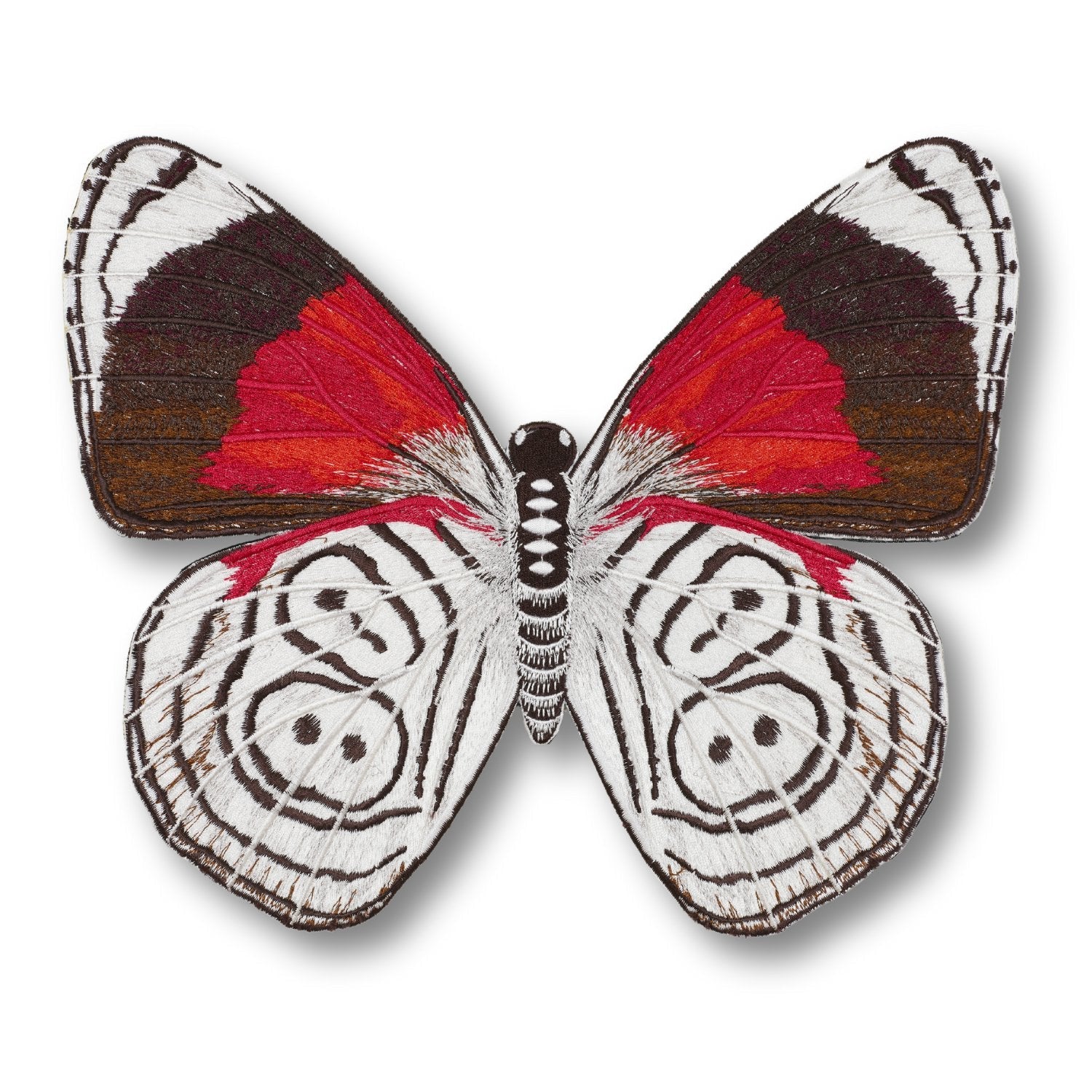 88 Butterfly 6" through 12" - Stephen Wilson Studio