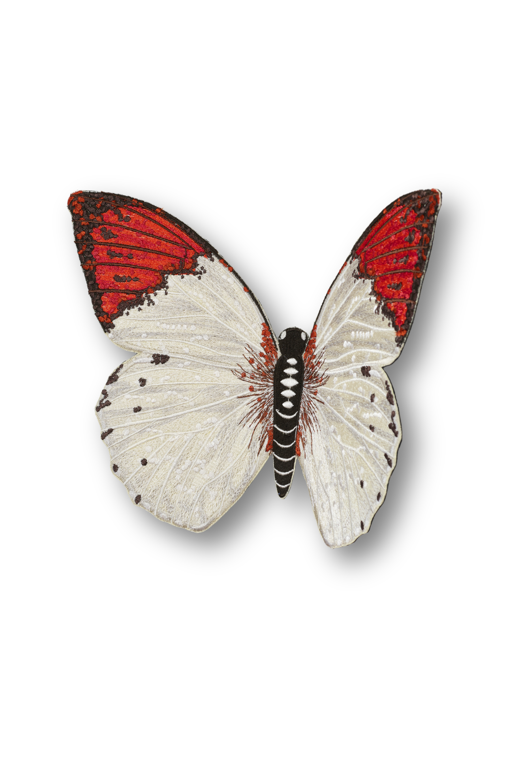 Pieridae Butterfly Patch