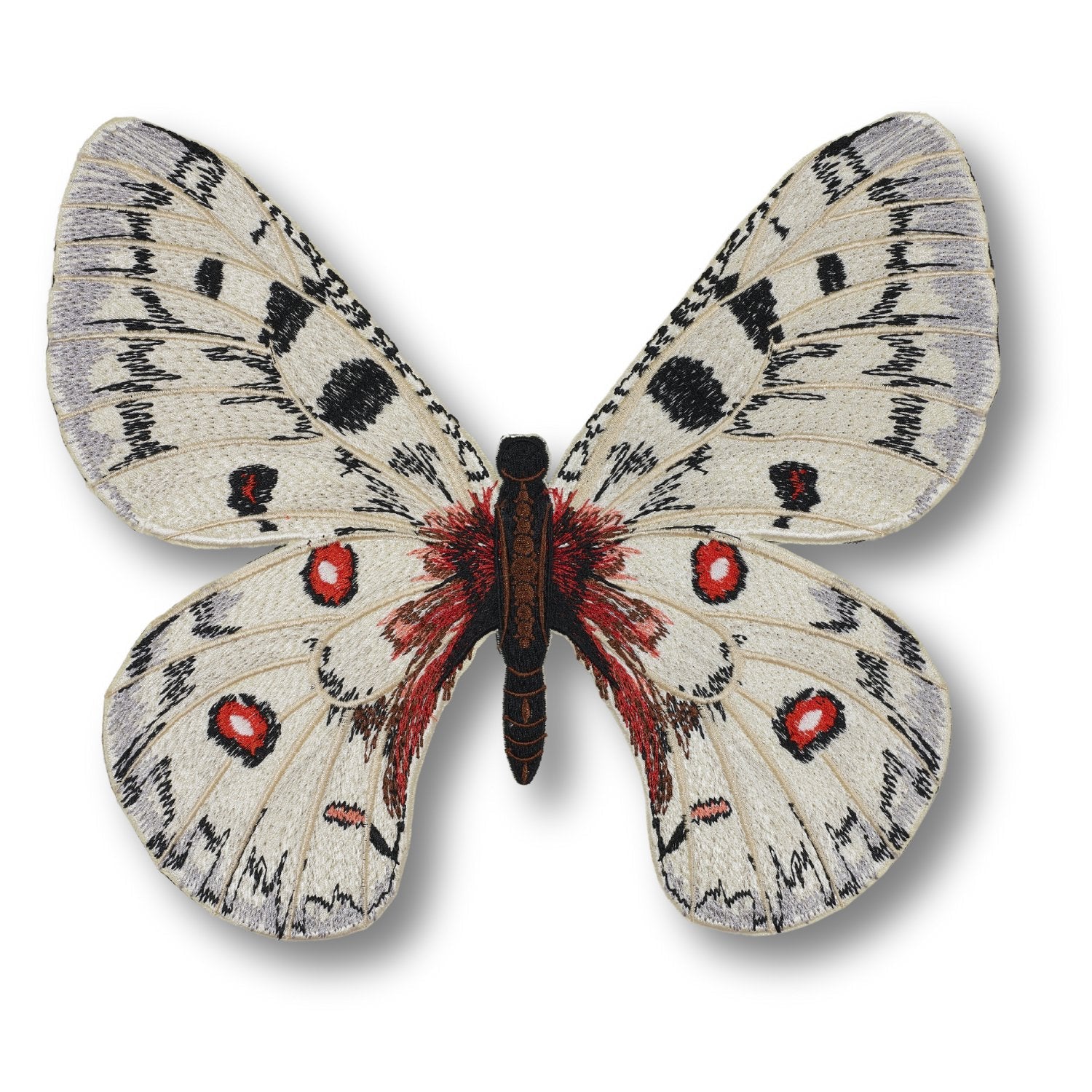 Apollo Butterfly 6" through 12" - Stephen Wilson Studio