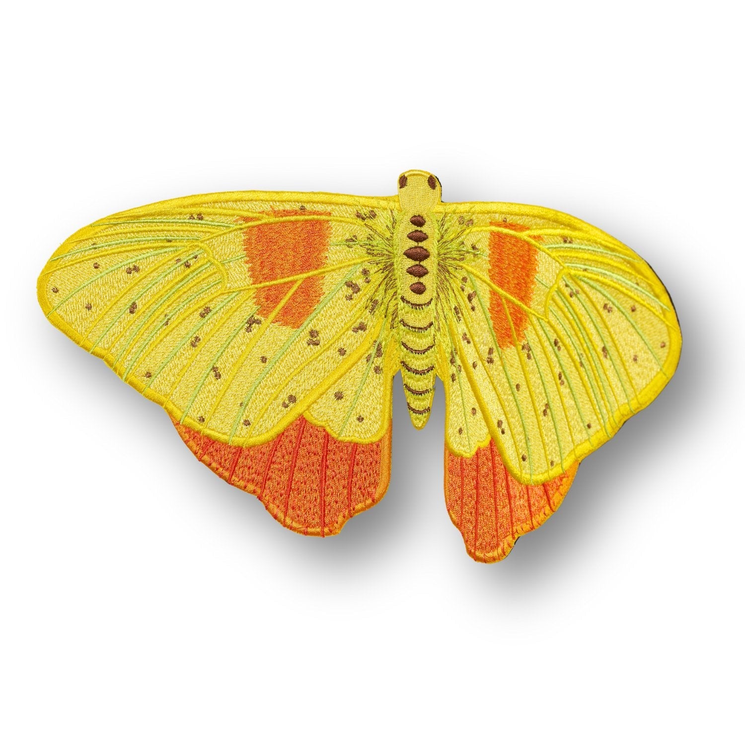 Orange Barred Sulpher Butterfly 6" through 12" - Stephen Wilson Studio
