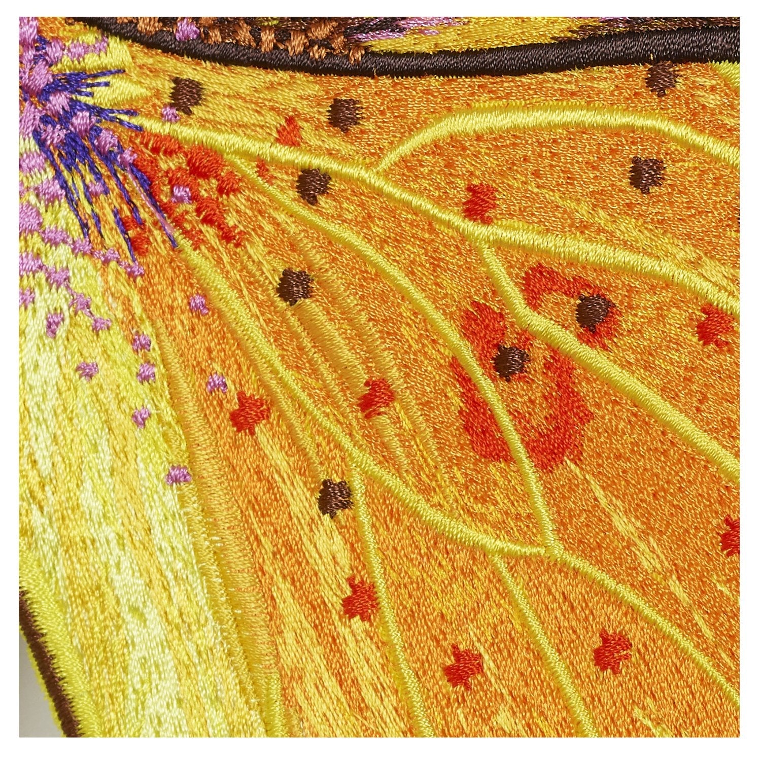 Southern Dogface Butterfly 6" through 12" - Stephen Wilson Studio