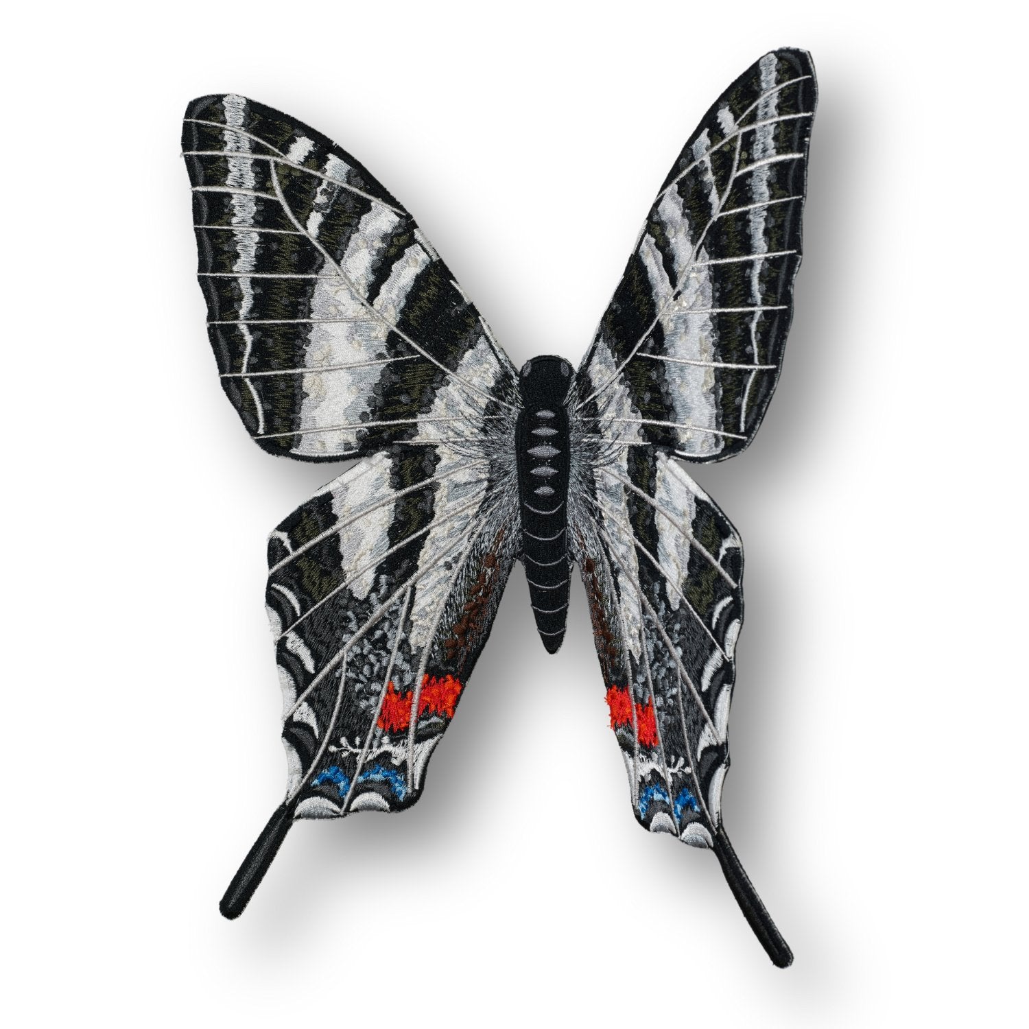 Zebra Swallowtail Butterfly 6" through 12" - Stephen Wilson Studio