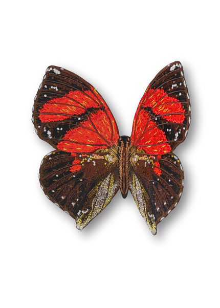 Ecuador Butterfly Patch
