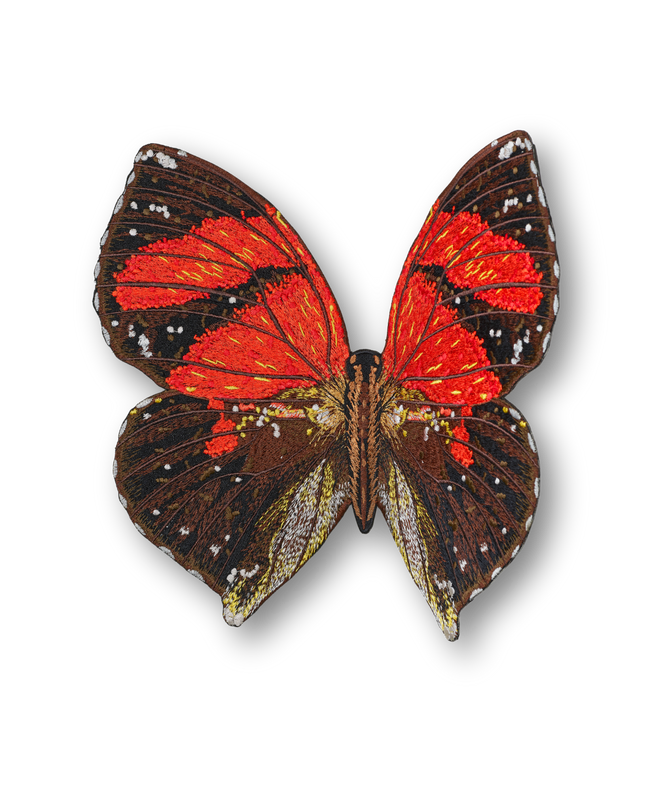 Ecuador Butterfly Patch