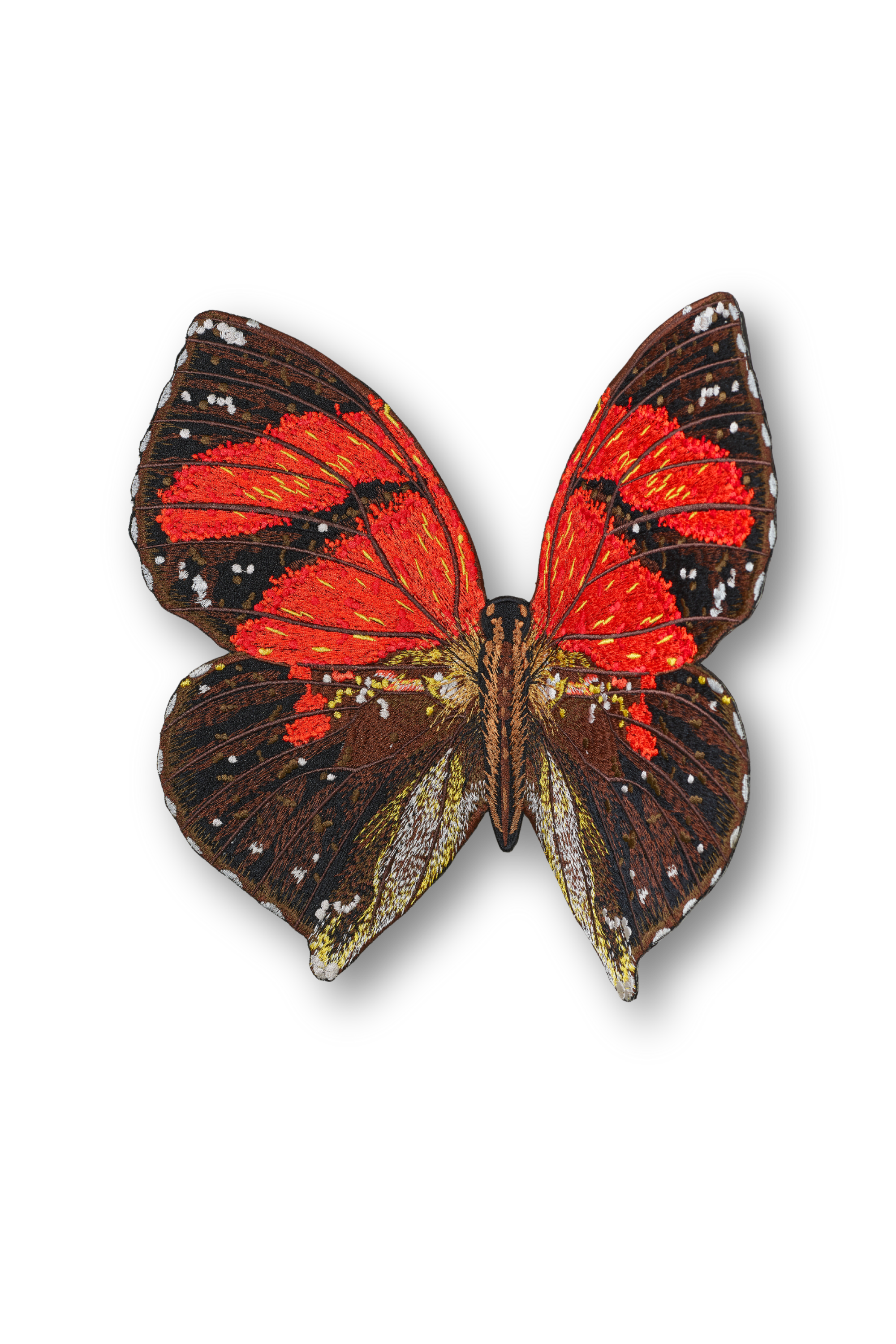 Ecuador Butterfly Patch