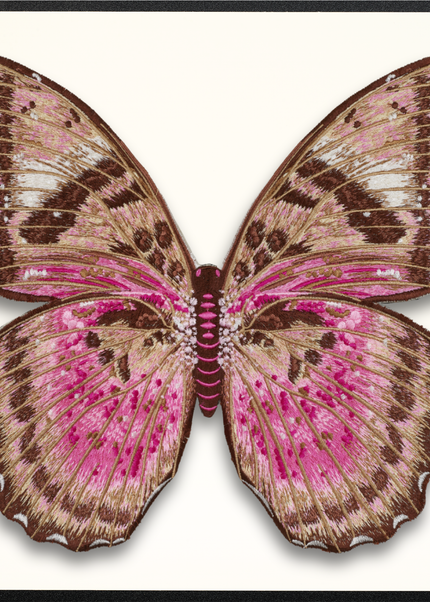Pink Forrester Butterfly
