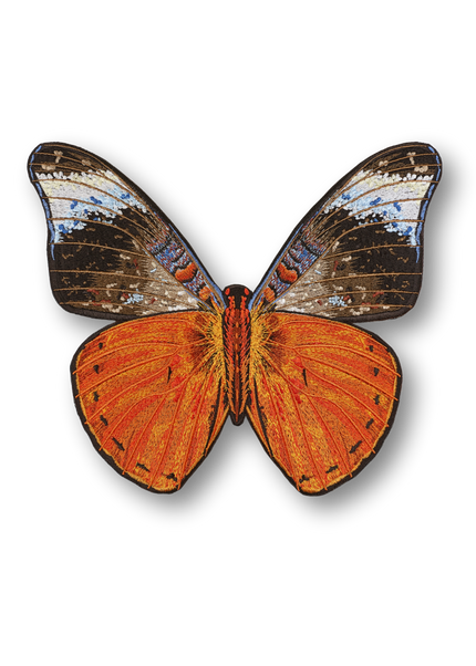 Red Flasher Butterfly Patch