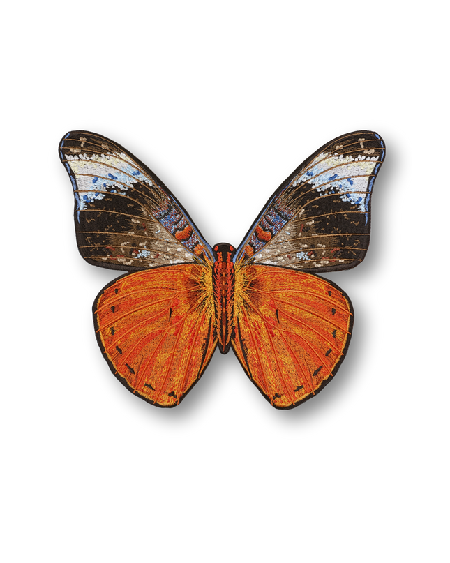 Red Flasher Butterfly Patch