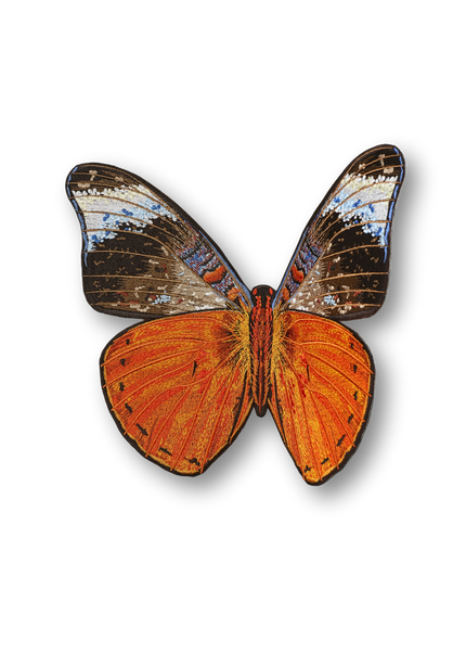Red Flasher Butterfly Patch