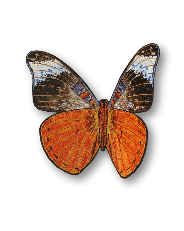 Red Flasher Butterfly Patch