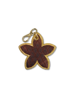 Brown Leather
