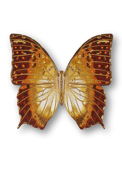 Charaxas Butterfly Patch