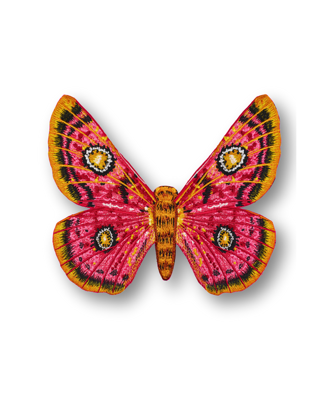 African Moth Butterfly Patch
