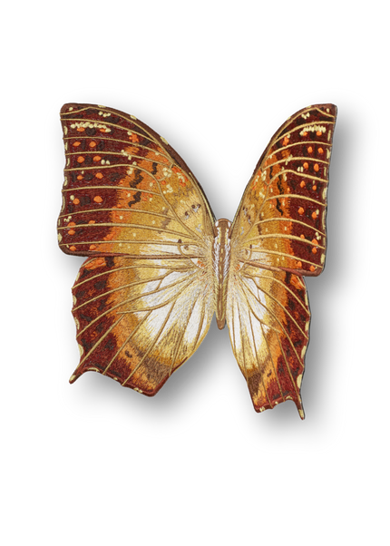 Charaxas Butterfly Patch