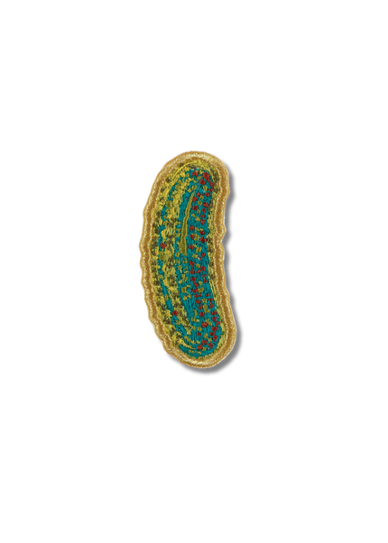 Pickle Patch
