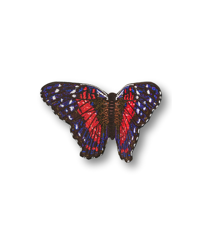Scarlet Peacock Butterfly