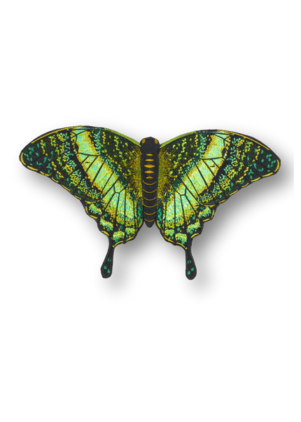 Emerald Swallowtail Butterfly Patch