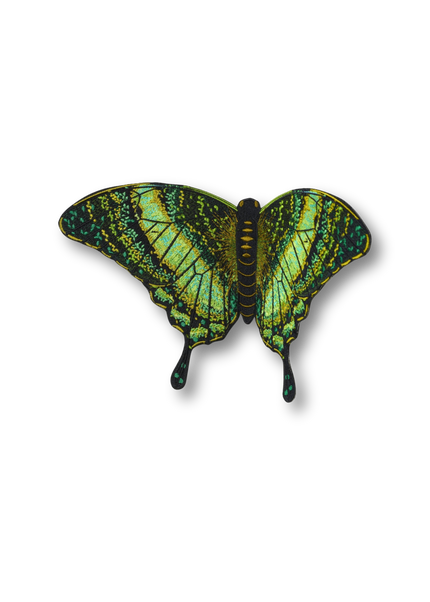 Emerald Swallowtail Butterfly Patch