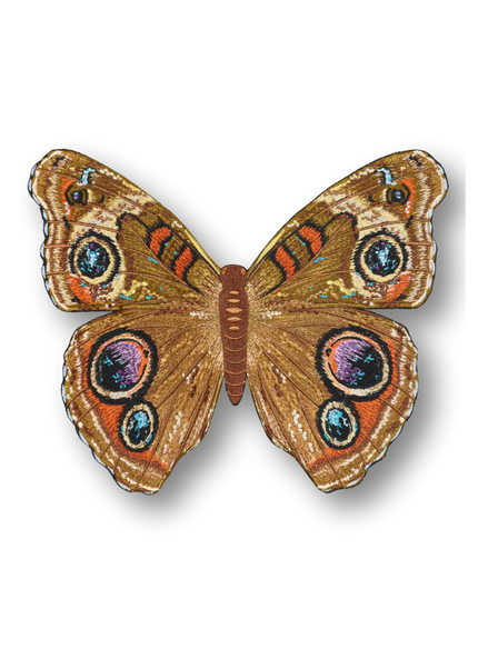 Buckeye Butterfly Patch
