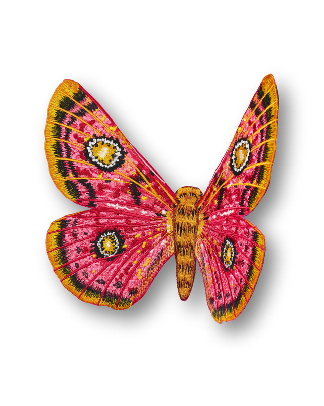 African Moth Butterfly Patch