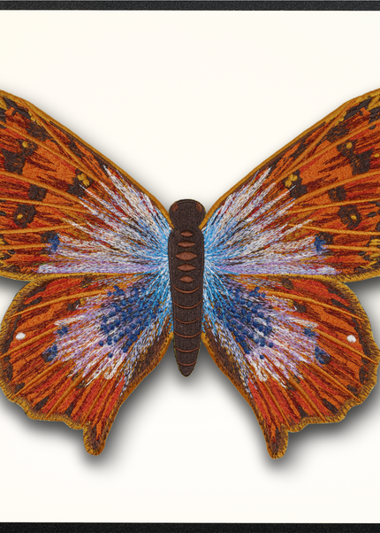 Common Opal Butterfly