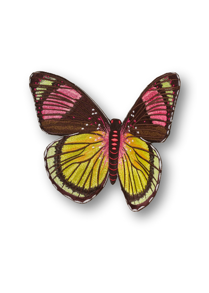 Painted Beauty Butterfly Patch