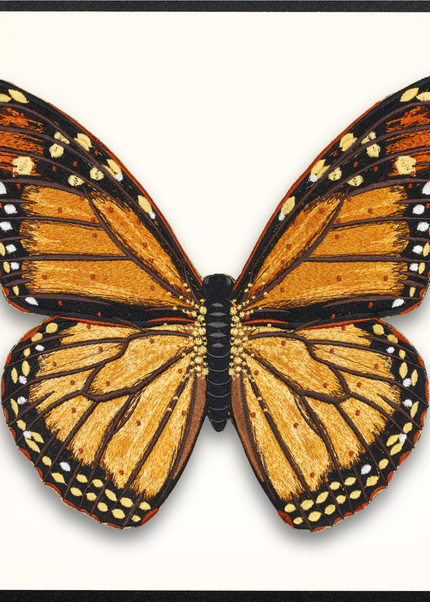 Monarch Butterfly