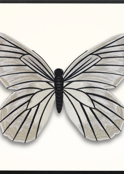Black Veined White Butterfly