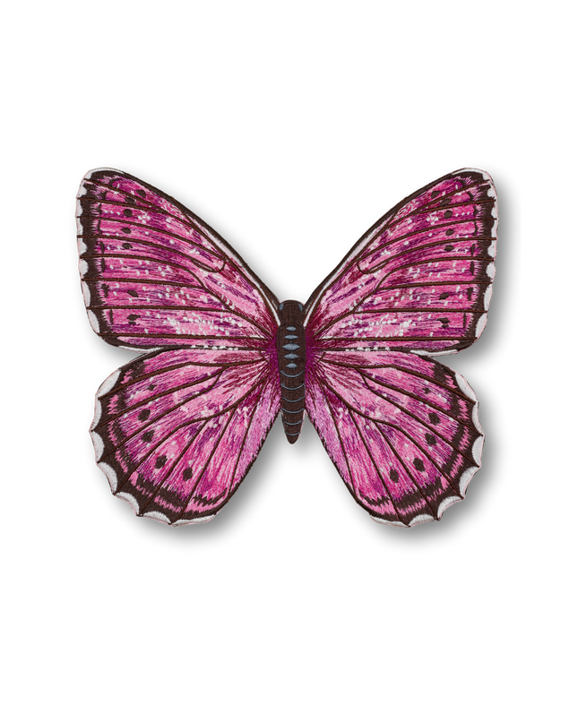 Violet Tip Brushveld Butterfly Patch