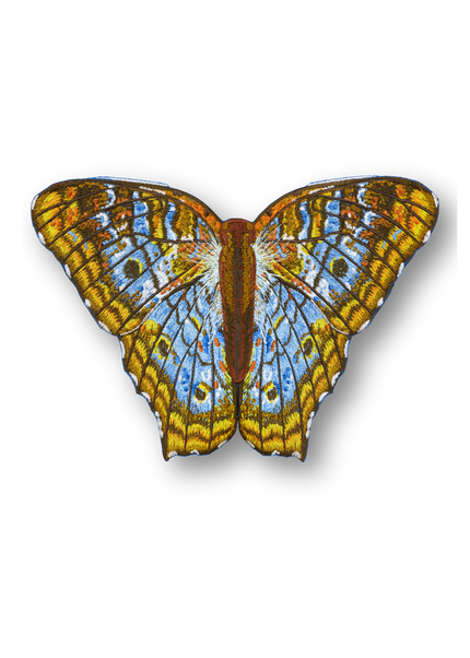 White Peacock Butterfly Patch