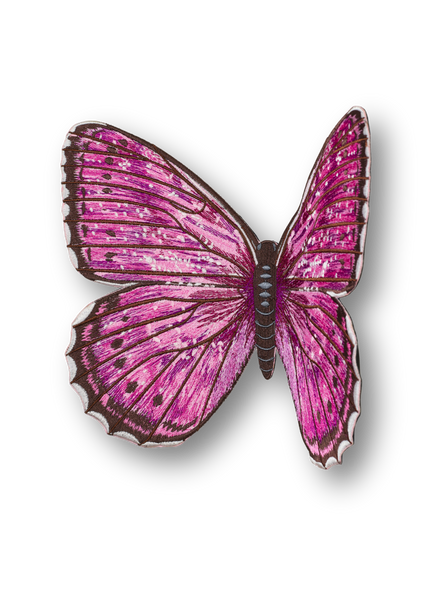 Violet Tip Brushveld Butterfly Patch