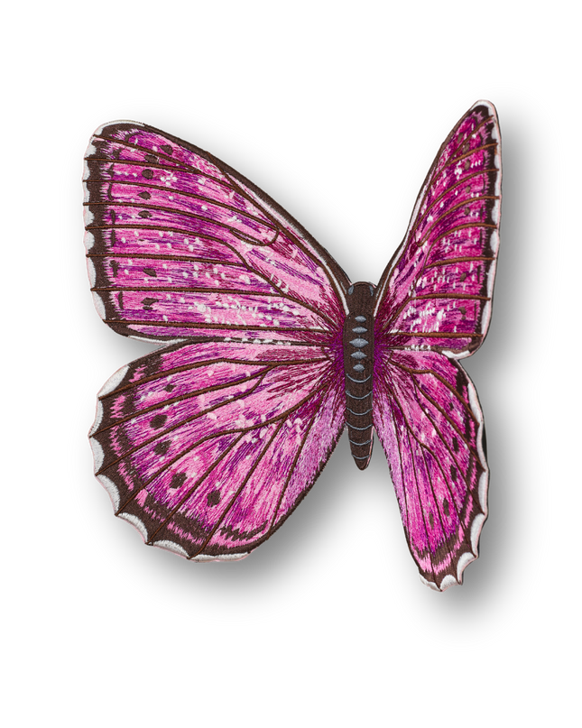 Violet Tip Brushveld Butterfly Patch