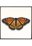Framed