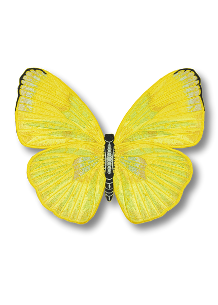 Cloudless Sulphur Butterfly Patch