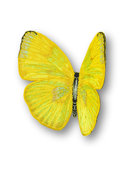 Cloudless Sulphur Butterfly Patch