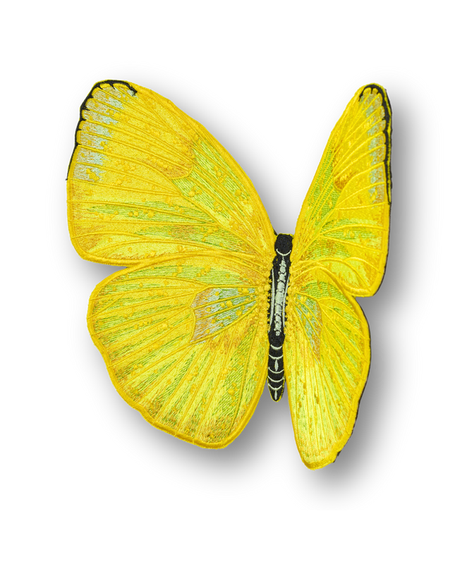 Cloudless Sulphur Butterfly Patch