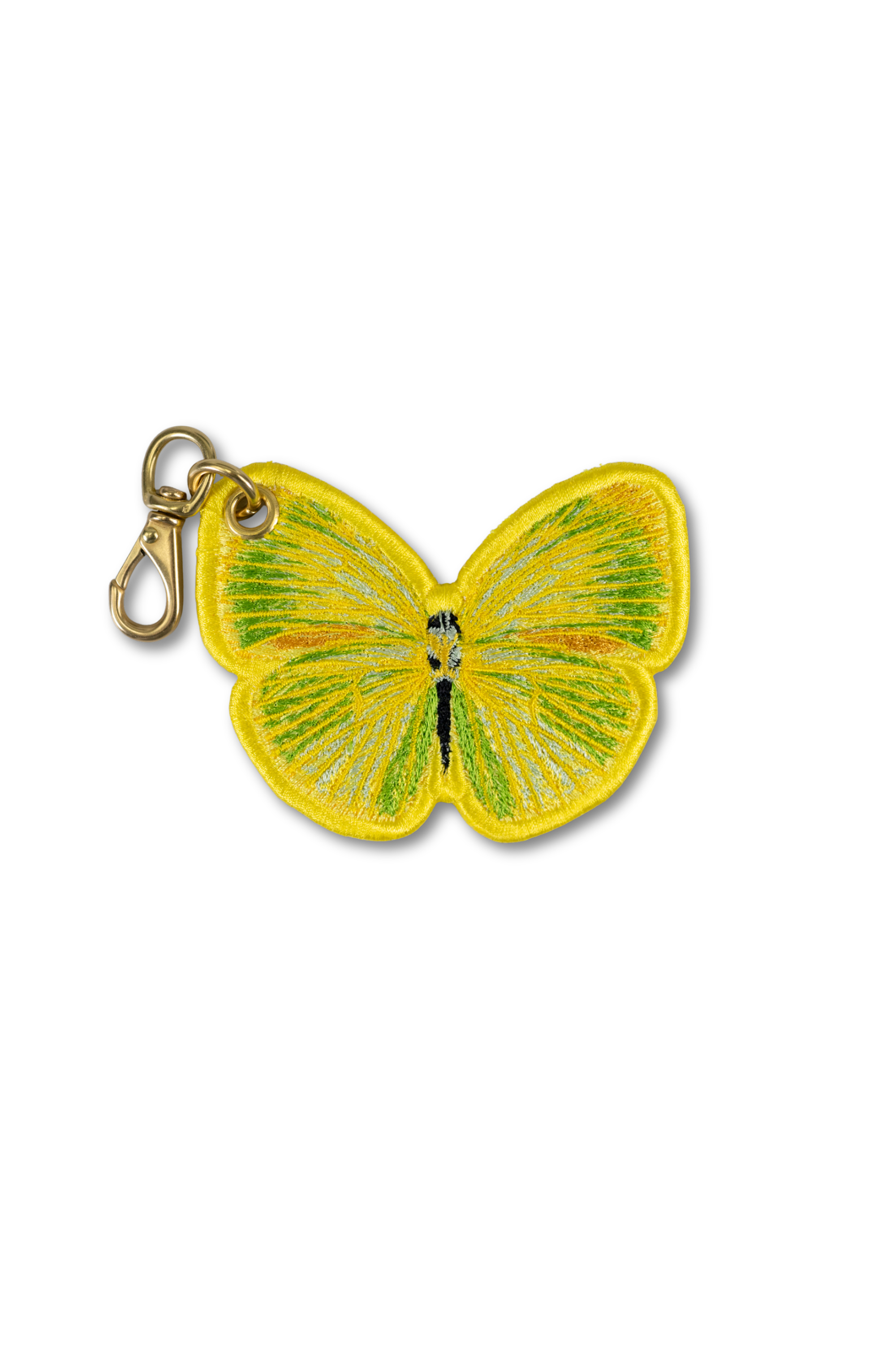 Sulphur Butterfly