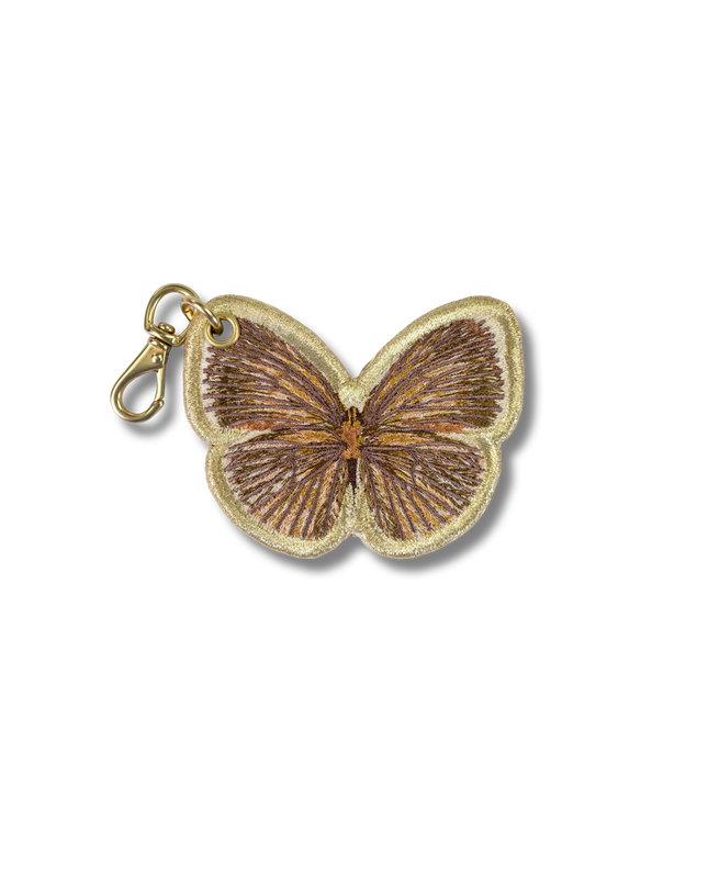 Sulphur Butterfly
