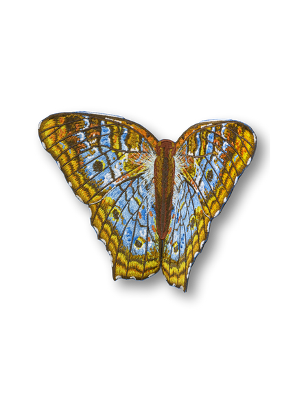 White Peacock Butterfly Patch