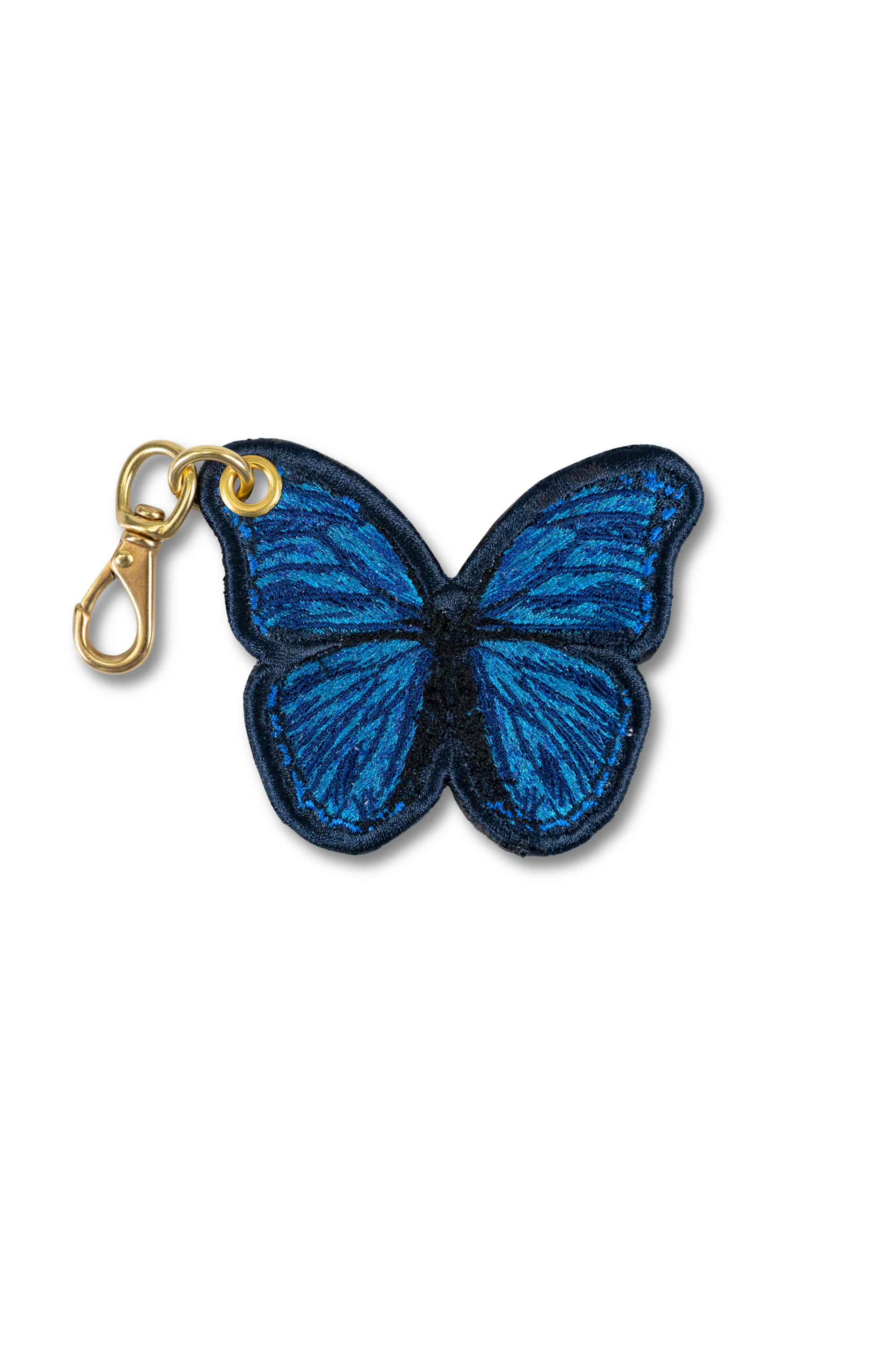 Blue Morpho Butterfly