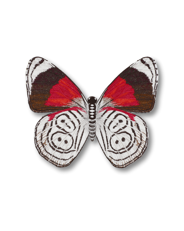 88 Butterfly Patch