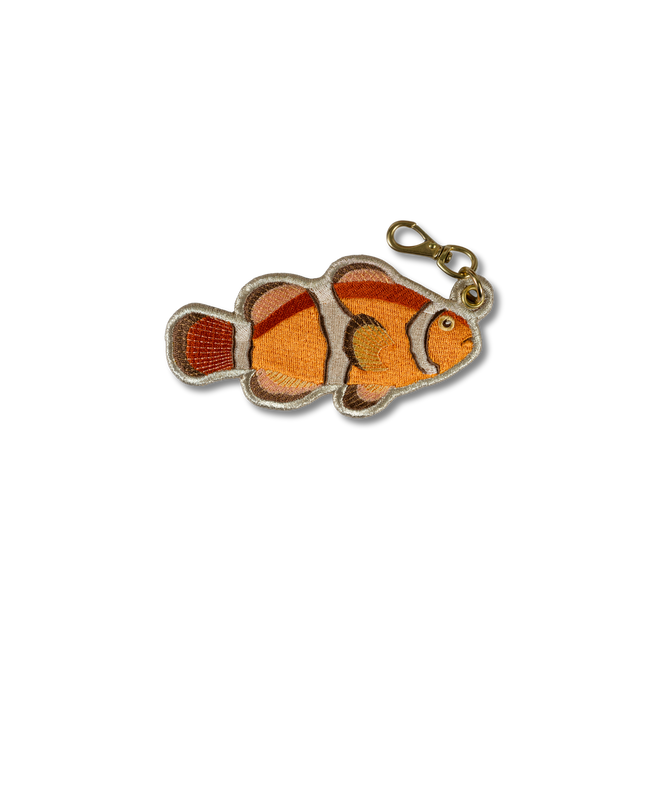 Clown Fish