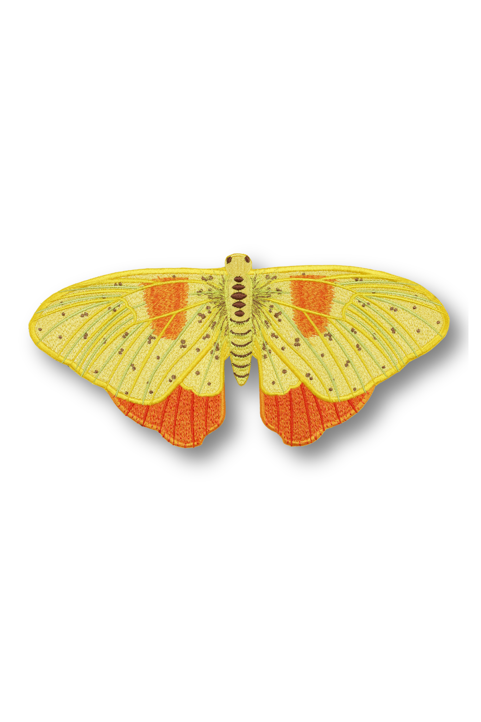 Orange Barred Sulpher Butterfly Patch