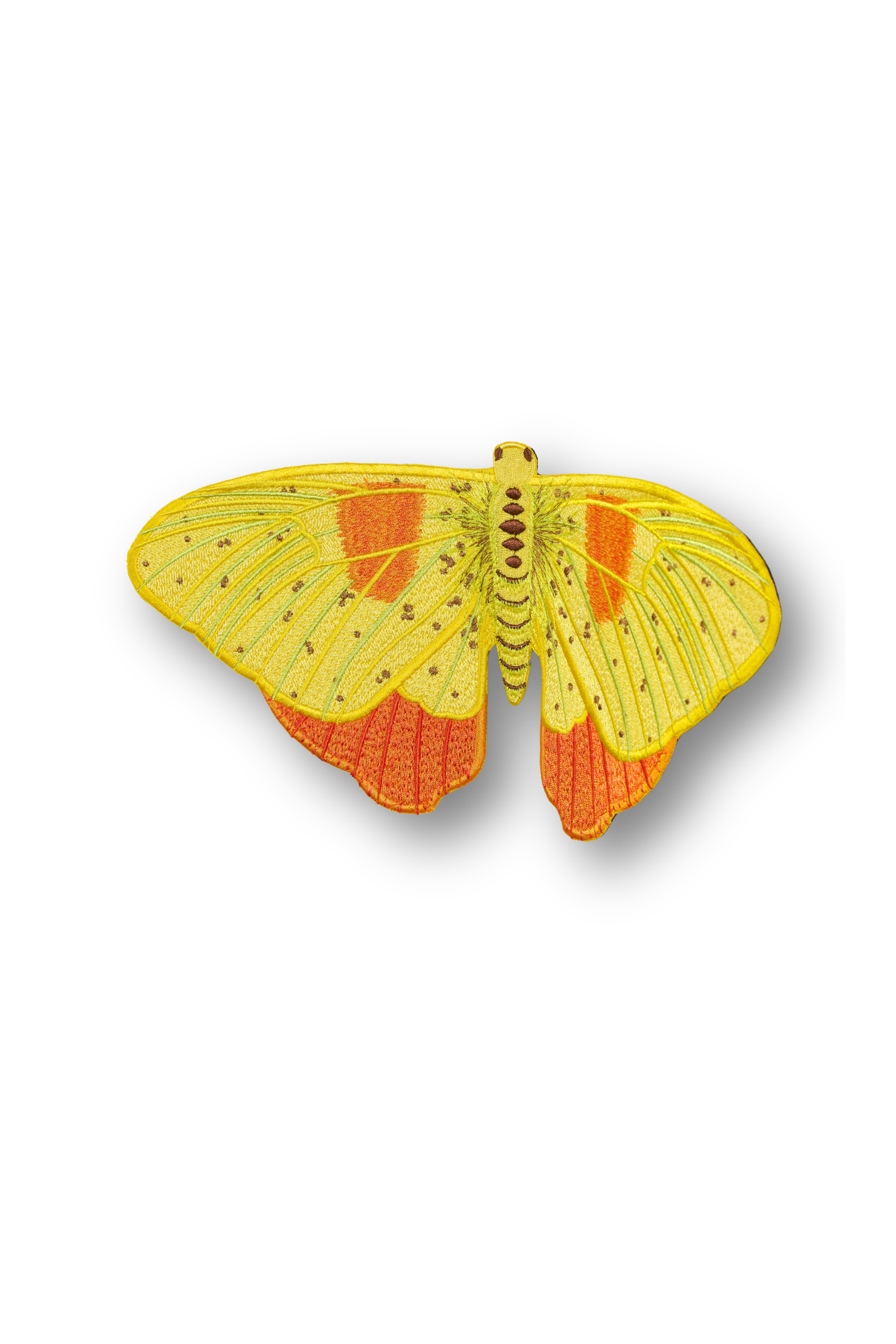 Orange Barred Sulpher Butterfly Patch