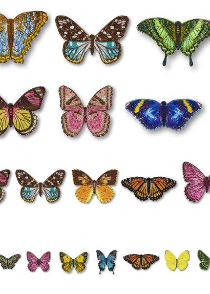 24 Piece Butterfly Installation