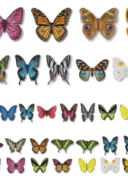 36 Piece Butterfly Installation